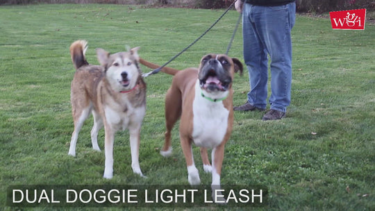 Wigzi - 2025 Edition -2 Dog Reflective Leash Automatically Untangles with 360° Spin, Gel Handle - Reflective Rope. Optional LEDs Light UP to 25 FEET. Universal Size All Dogs, Black, Med/Lrg Size with 2 Rechargeable Lights